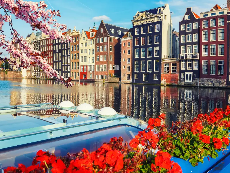 Amsterdam Brussels Paris Delight