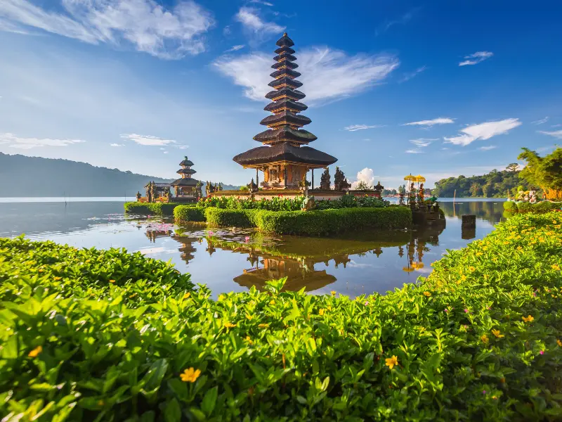 Bali Tropical Escape